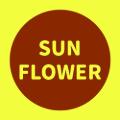 My Website
